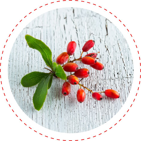 berberine glucose balance