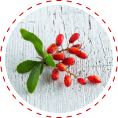 berberine for insulin control