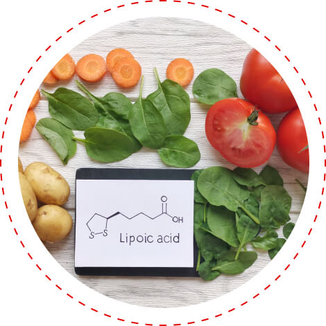 alpha-lipoic acid glucose regulation